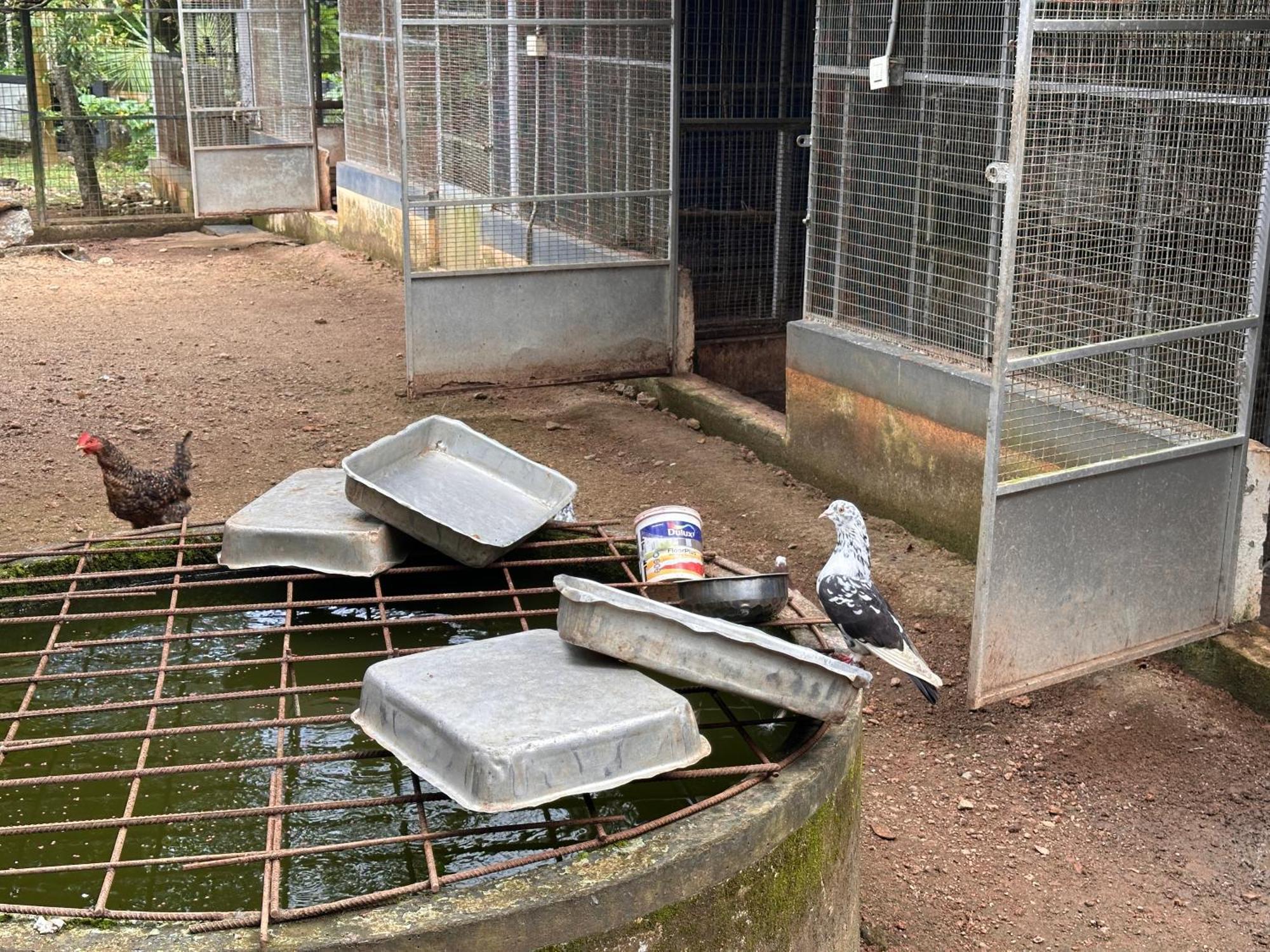 Kattil Farm Stay Varkala Thiruvananthapuram Bagian luar foto