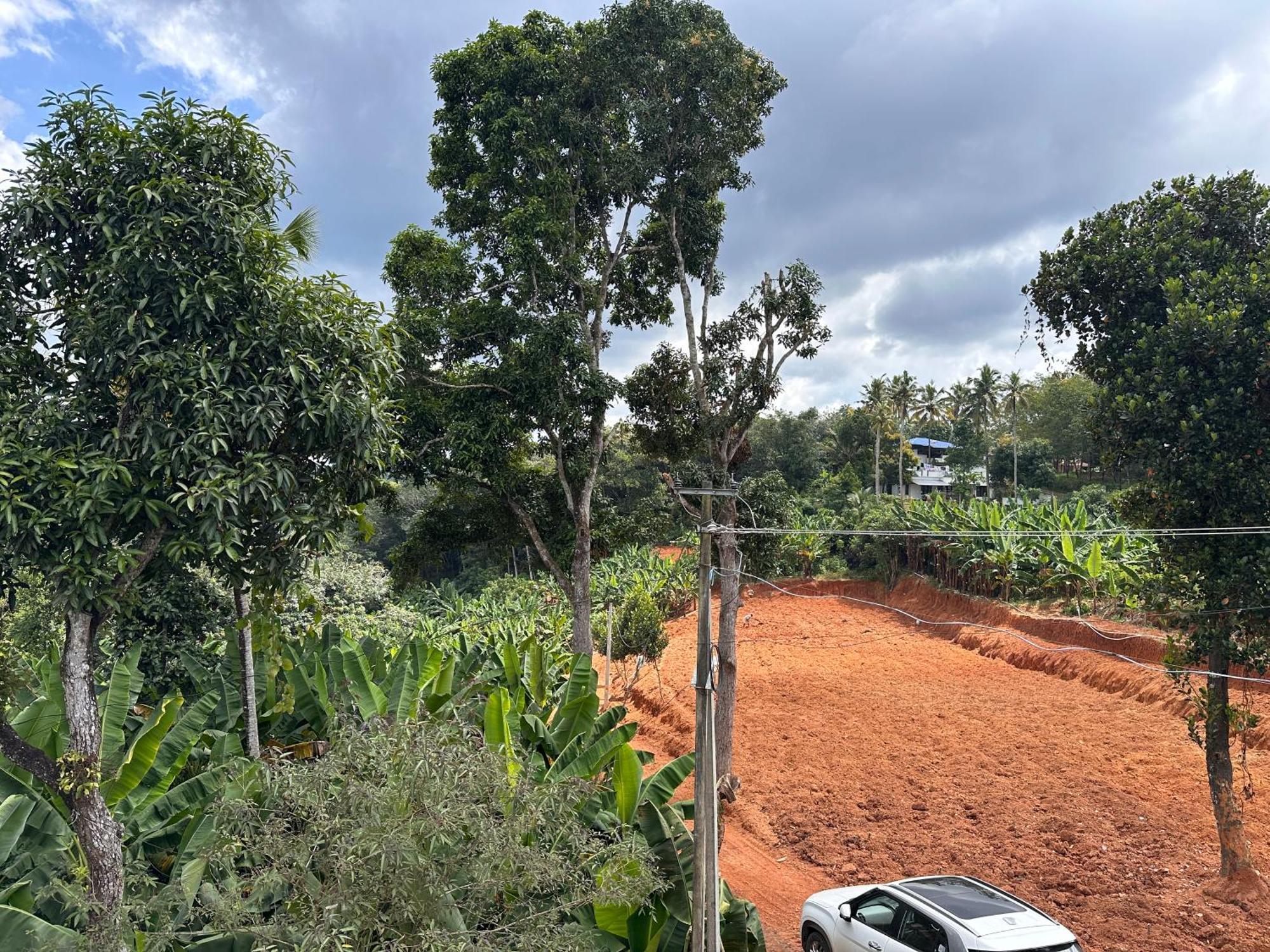 Kattil Farm Stay Varkala Thiruvananthapuram Bagian luar foto