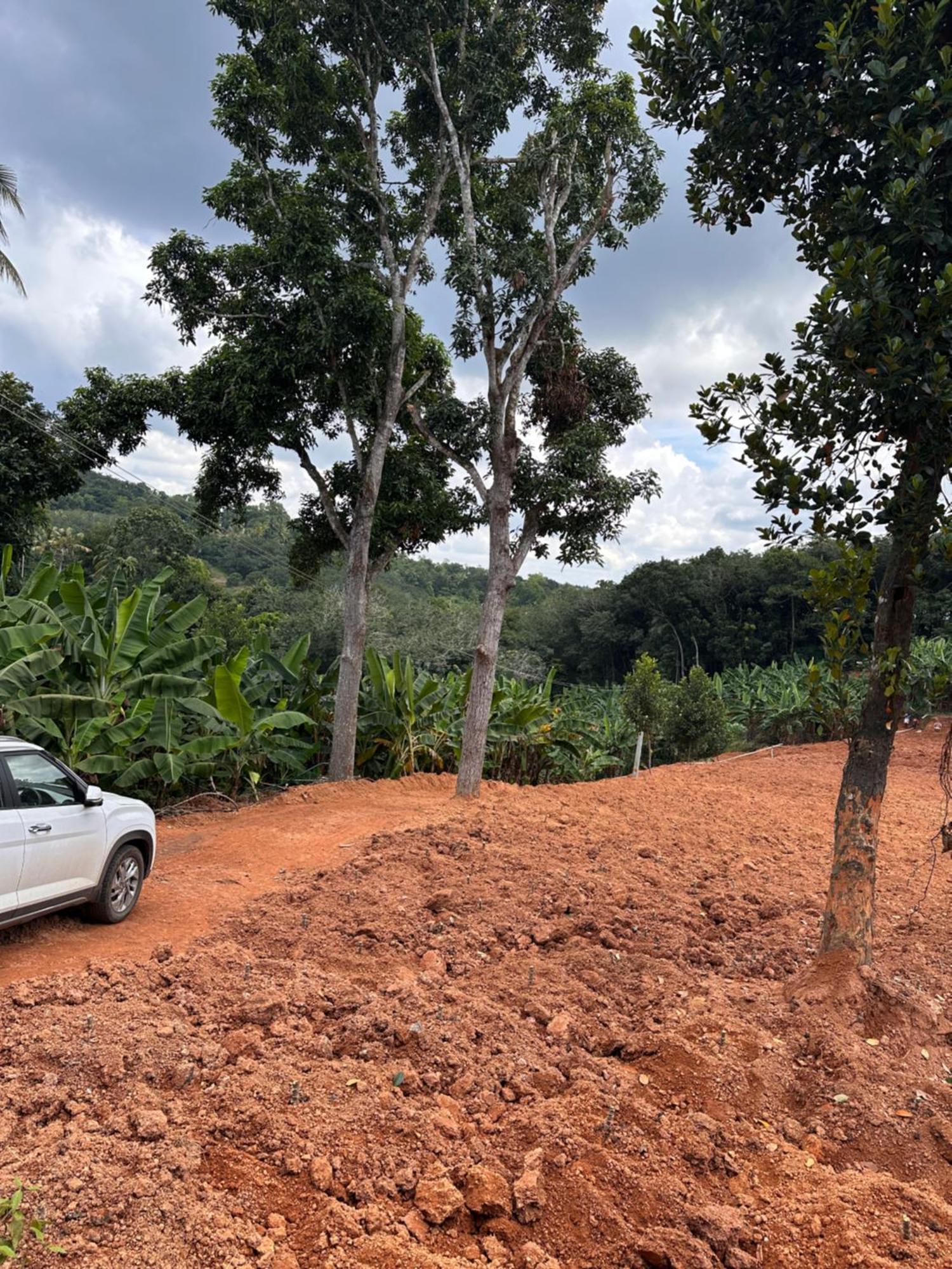 Kattil Farm Stay Varkala Thiruvananthapuram Bagian luar foto
